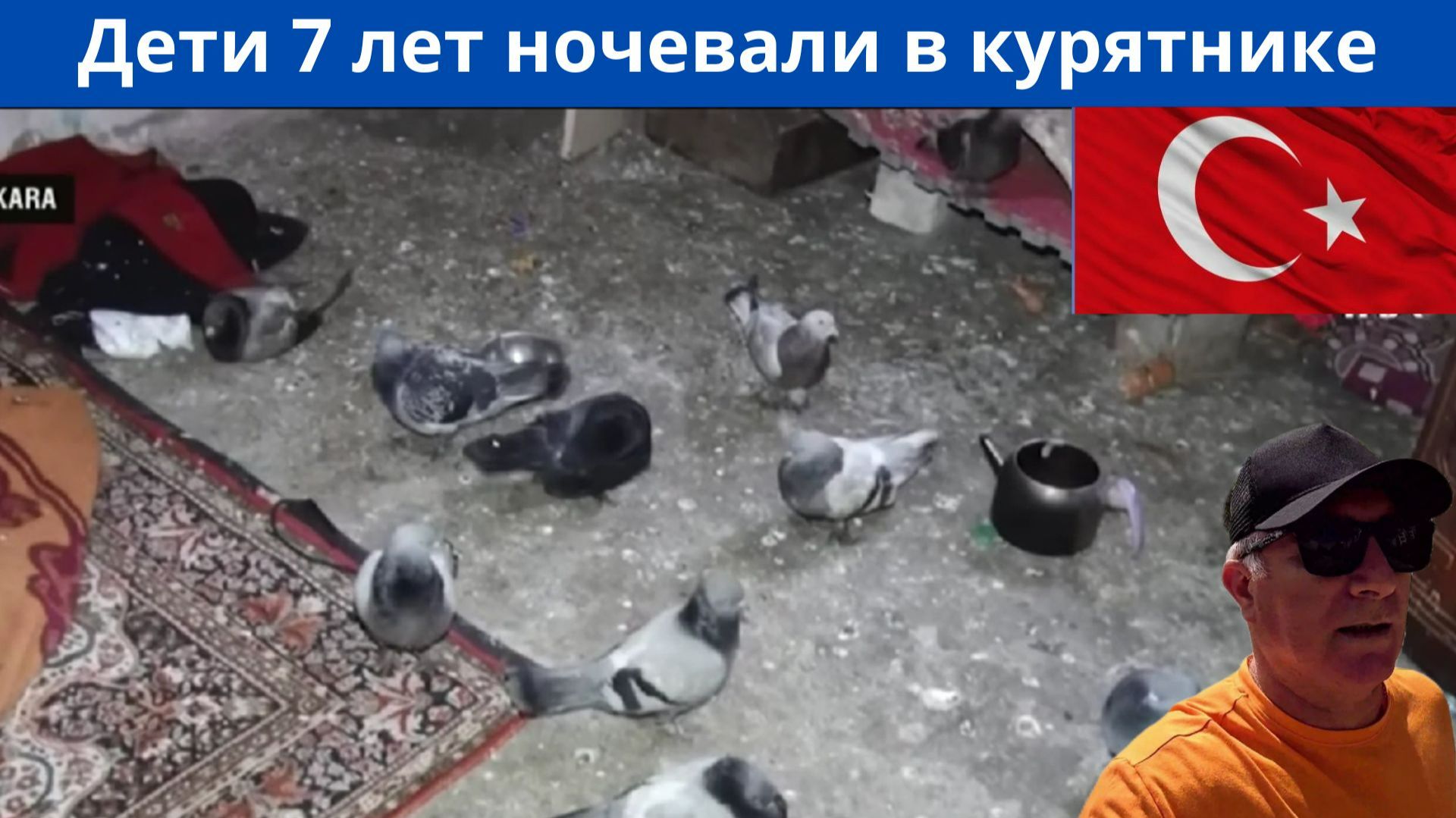 В Турции приёмных детей держали в сарае