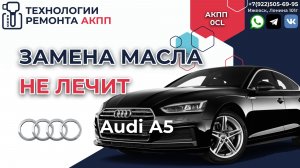 Неадекватное поведение DSG 0CL на АУДИ пробег 116000 км.