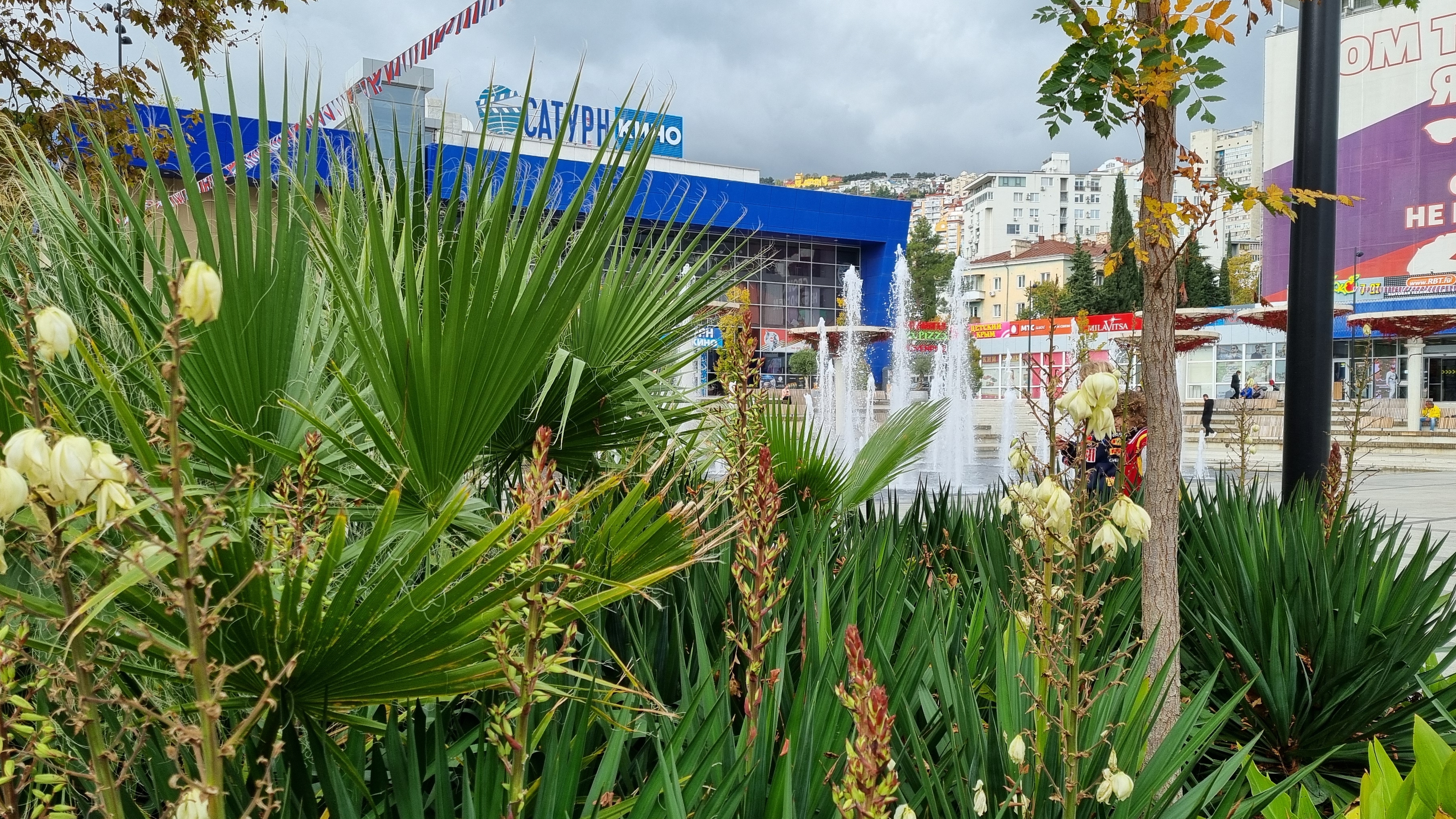 Декабрь в Ялте, прогулка в любую погоду ул.Пушкинская, Пальмиро Тольятти и Киевская