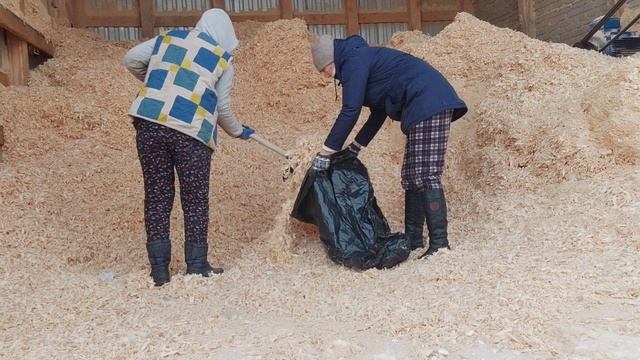 Поездка за опилками. Дневник за 12 декабря
