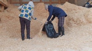 Поездка за опилками. Дневник за 12 декабря