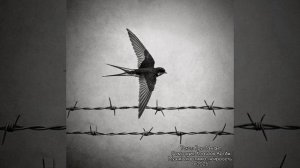 Владимирский централ (Михаил Круг)