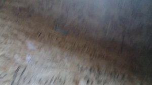 Сухарная 96/3 | Лифты SRH (г.в не знаю)