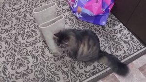 В валенках на дискотеку!😃👋