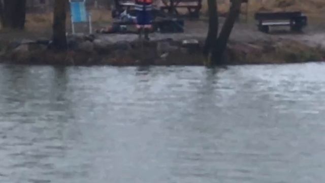 ещё одна форель в подсаке