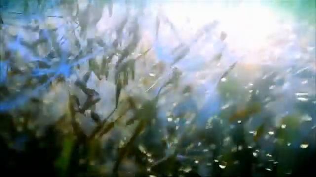 Morten Harket - Ready To Go Home