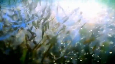 Morten Harket - Ready To Go Home