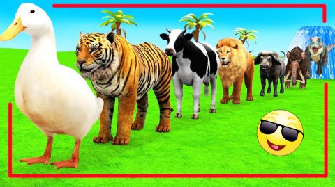 Мультики про диких животных. Дикие животные: горилла и бегемот. Смотреть онлайн Мультики для детей.