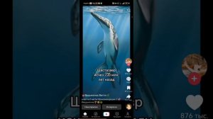 делайте тренды чтобы рутуб был как ютуб