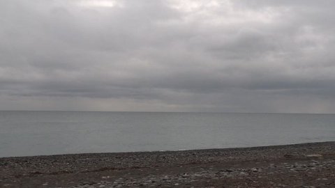 Новогодняя Сочинская погода и соответственно настроение...