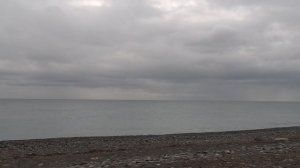 Новогодняя Сочинская погода и соответственно настроение...