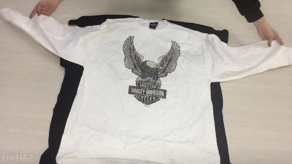 💥-14% СКИДКА💥сти314.2. Футболки Harley-Davidson сток