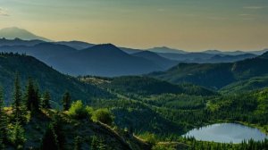 Сдай всю свою жизнь Богу