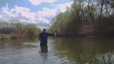 Весна, ищем голавля