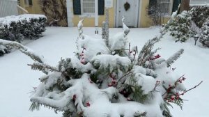 🌟 Снежная магия 2025: прогулка по сказочным Вудстоку и Кингстону! ☃️