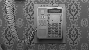 Позвонил на все номера телефона у Полины и попытался пройти на хорошую концовку. #Steam #Tinny Bunny