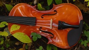 Современная классическая музыка на скрипке | Ecveezer - My Heart Is Warm (Violin Version)