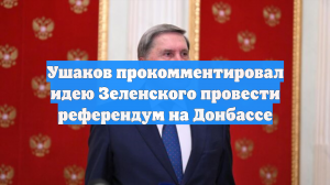 Ушаков напомнил о статусе Донбасса в ответ на идею Зеленского о референдуме