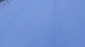 Лысый Купол 2025: Приключения ждут!