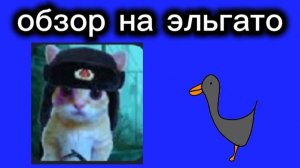 Обзор на эльгато