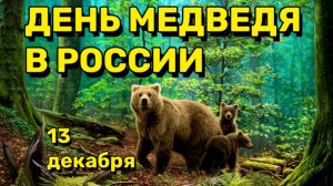 13 ДЕКАБРЯ ДЕНЬ МЕДВЕДЯ В РОССИИ. ШУТОЧНАЯ ДЕТСКАЯ ПЕСЕНКА