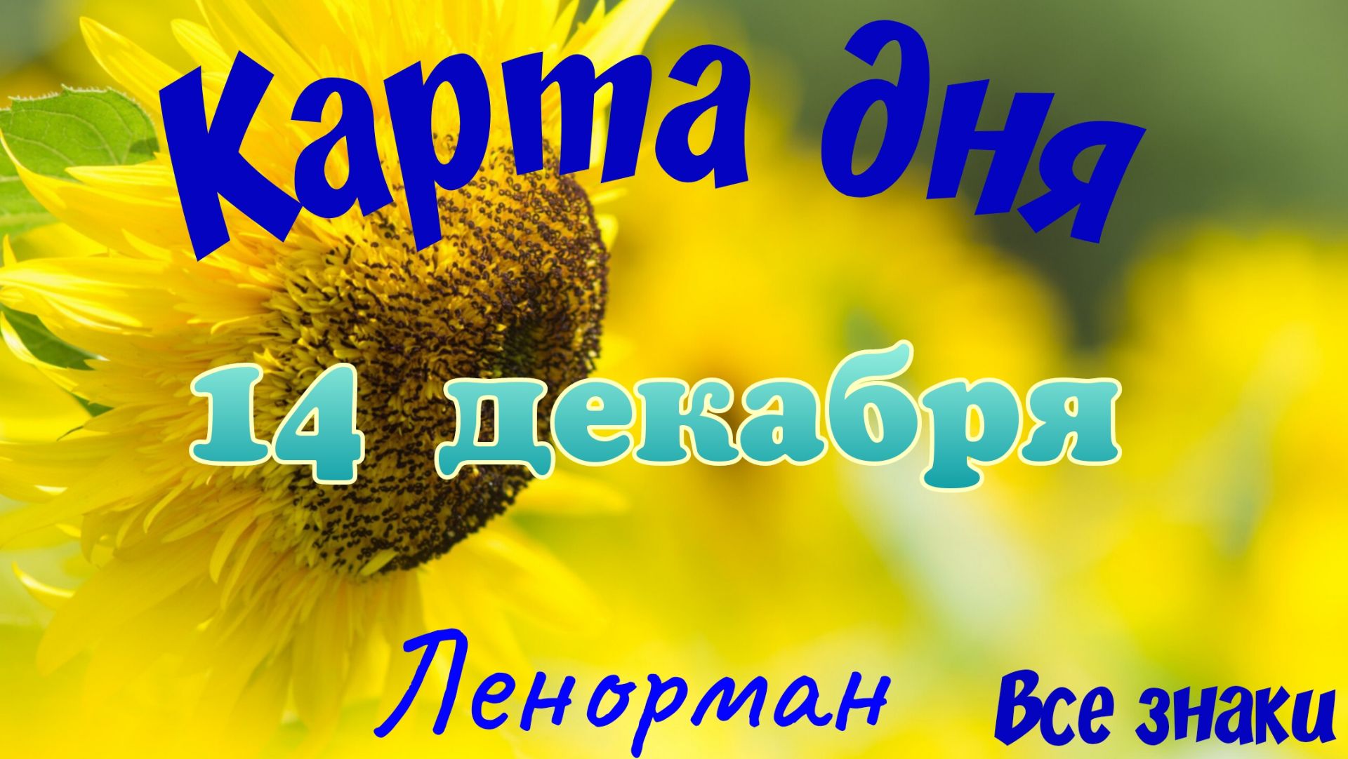 Карта дня❄14 декабря🎄☃️Ленорман. Тайм-код в описании🦢