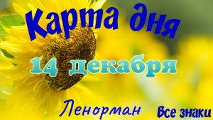 Карта дня❄14 декабря🎄☃️Ленорман. Тайм-код в описании🦢