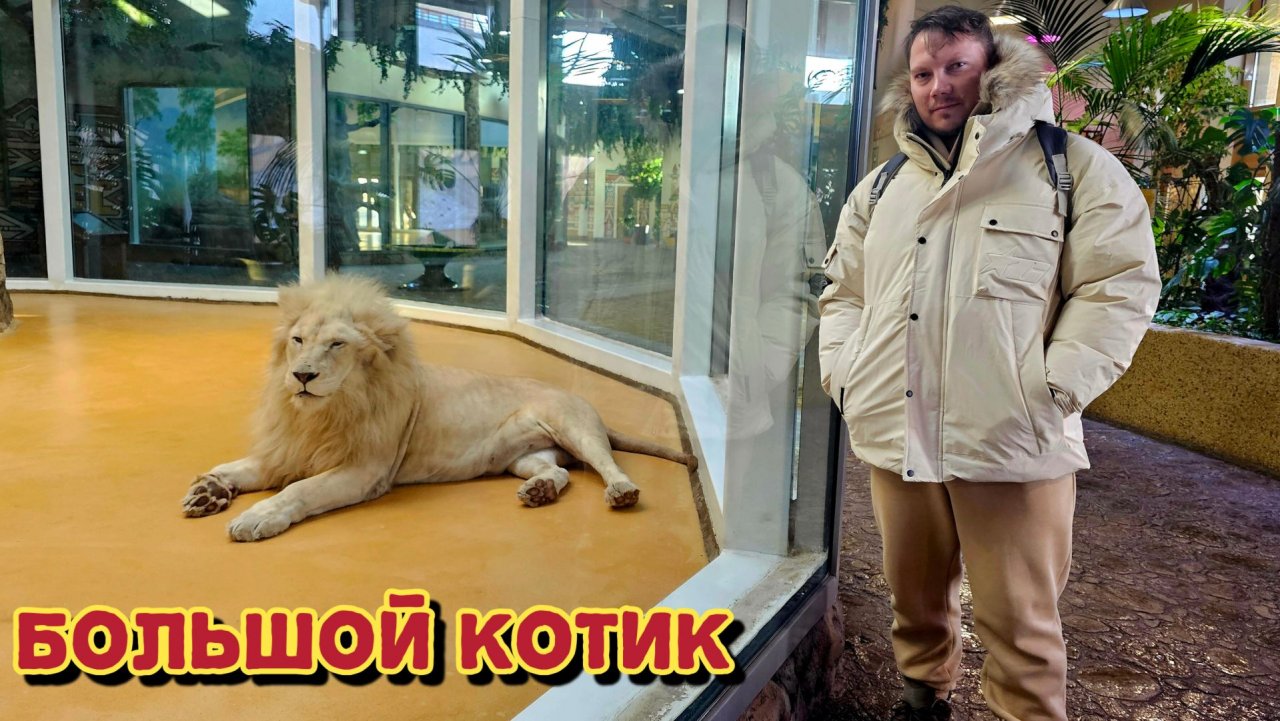 Посетили зоопарк в Казани и остались довольны/едем в Волжск на электричке.