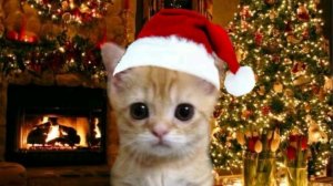 Буду бустить новичков тг:@br_br_br_patapin4ik, айди 264077728