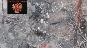 🔴Брошенный своими, спасённый нашими, раненый ВСУшник поднял белый флаг🏳️🔴