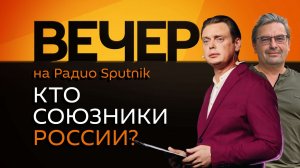 Михаил Онуфриенко. Освобождение городов в ДНР, европейский план мира