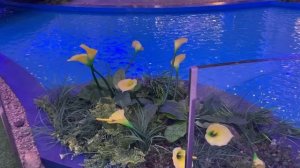 Покрутитесь,  девочки!