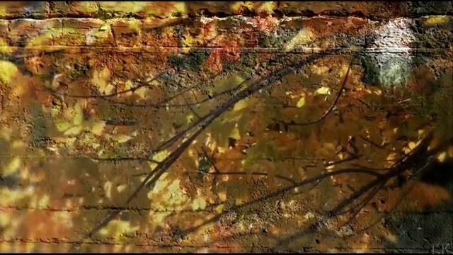 Черный кофе Листья - С ветки падающий лист (Переступи порог[Low,640x360]