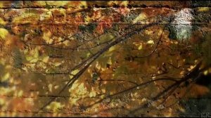 Черный кофе Листья - С ветки падающий лист (Переступи порог[Low,640x360]