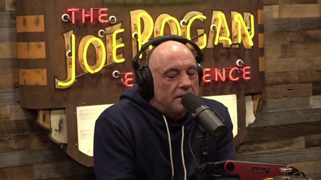 Joe Rogan and Ethan Hawke talk about Spirit Guides and Soul Plans