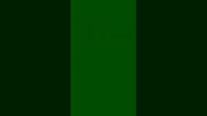 какает на трансляции