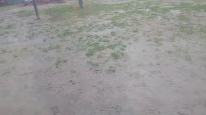 SSGX3584 Симочка