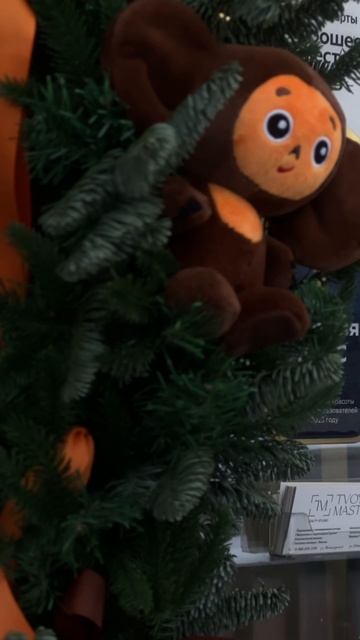 Студия красоты Tmstudio