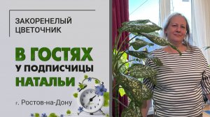 В гостях у Натальи. г. Ростов-на-Дону. Очень необычные суккуленты, интересная коллекция растений.