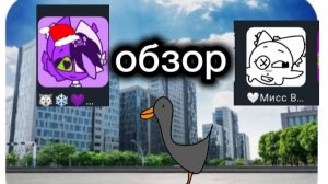 Обзор на дарину и на венду