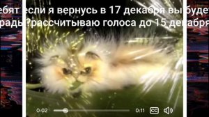 ну тип вопрос вернуться ли пораньше:/(17 декабря)