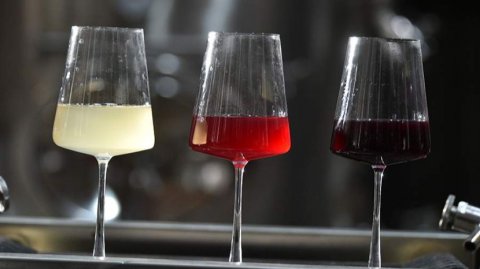 Эксперт назвал стоимость хорошего российского вина в магазине