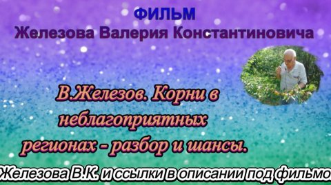 В.Железов. Корни в неблагоприятных регионах - разбор и шансы.