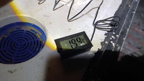 Пчелы гонят расплод 12.12.2025