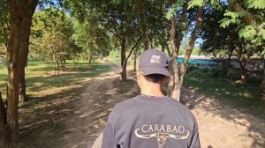 Тайланд / Квай / Термальные источники / Деревня слонов /