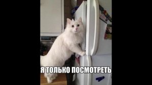 Разговоры с коллекторами 102