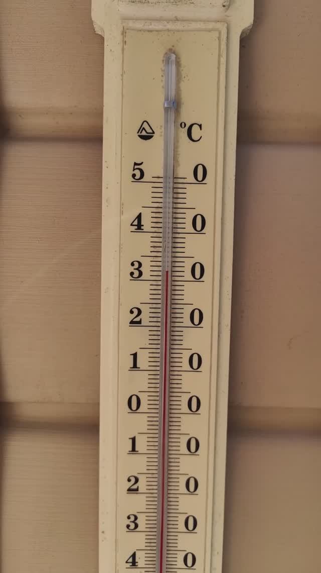 Сергей и Алиса | История двух сердец | Дачные видеозарисовки | Тридцать градусов жары