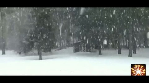 Новогоднее