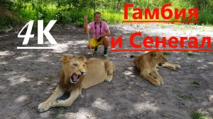 Западная Африка в 4К (Гамбия+Сенегал)Сафари, африканские рынки, школы, джунгли и древние мегалиты