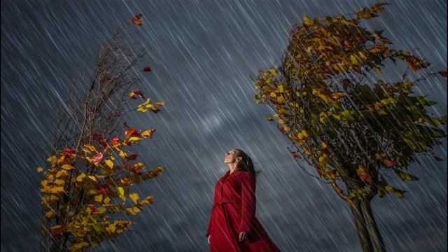 = Одиночество = песня на стихи Марии Дзюбак, музыка композитора А. Данилова.